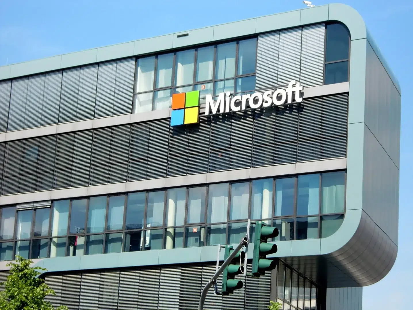 Microsoft cover - Everwild